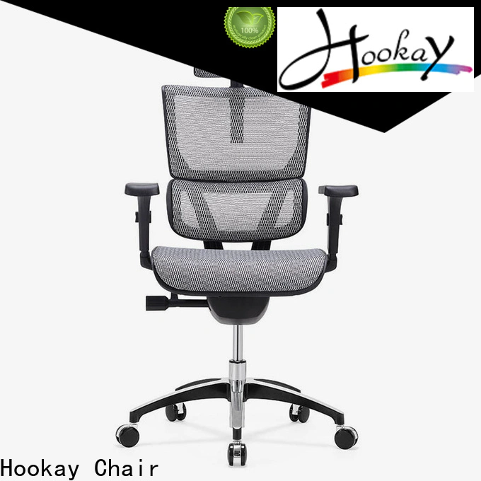 Hookay Chair Professional ergonomic desk chair with lumbar support supply for office building