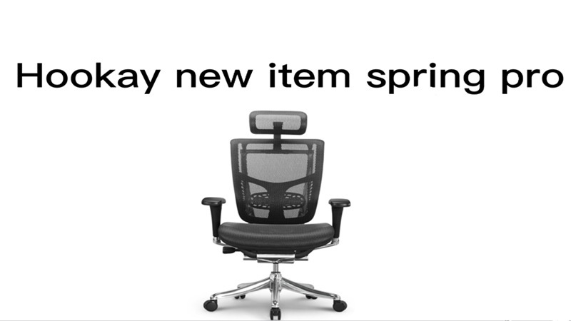 Hookay Spring Pro Executive ergonomic chair