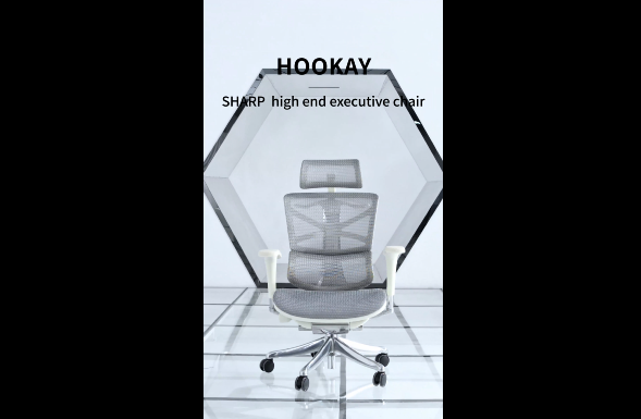 Sharp new design ergonomic office chair with aluminum mechanism HSRM01
