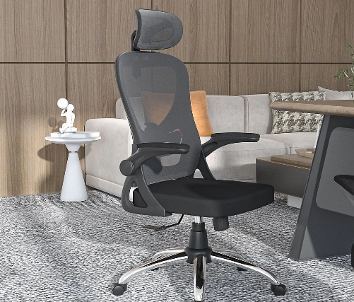 news-Hookay Chair-What Sets Executive Chairs With Lumbar Support Apart From Regular Office Chairs-im