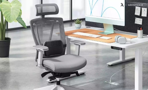 What Are the Top Features to Look for in an Executive Office Chair with Lumbar Support