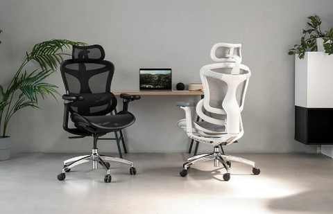 Executive Ergonomic Desk Chair VS Normal Chair - What's Difference?
