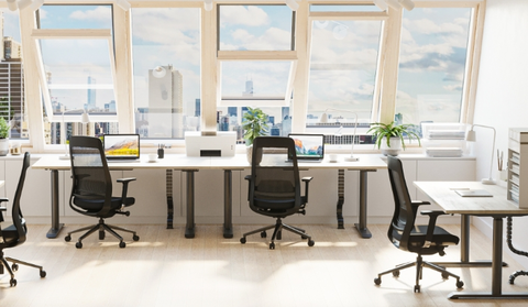 Why the Best Task Chair for Long Hours is a Must-Have for Professionals