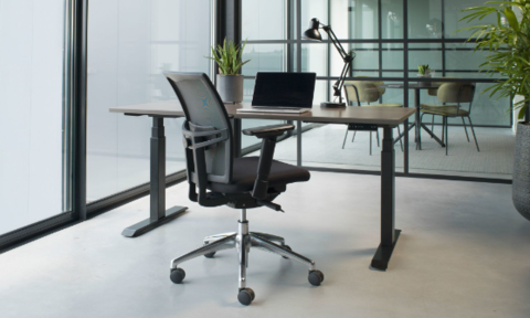 How to Use an Ergonomic Mesh Task Chair to Prevent Fatigue and Strain