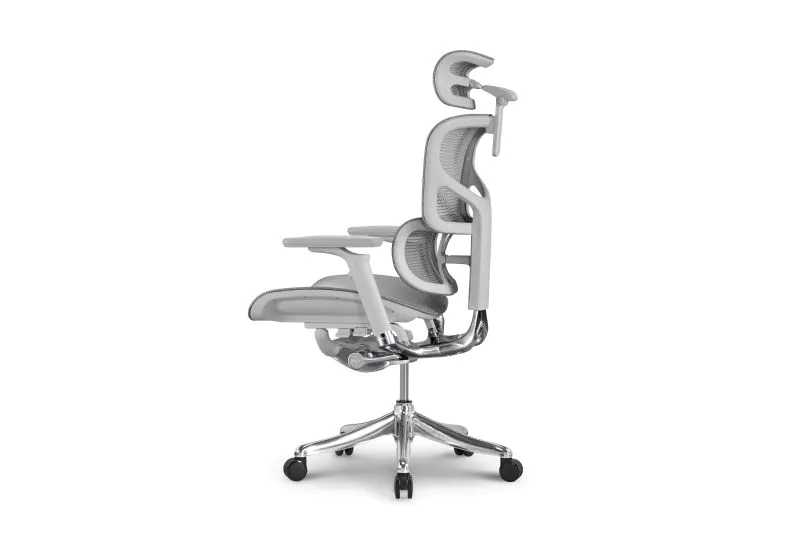 New model Advanced Ergonomic Chair with Forward Tilt Mechanism and Adjustable 3D Lumbar Support with new grey color