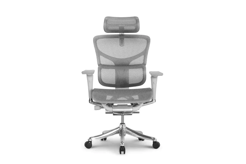 New model Advanced Ergonomic Chair with Forward Tilt Mechanism and Adjustable 3D Lumbar Support with new grey color
