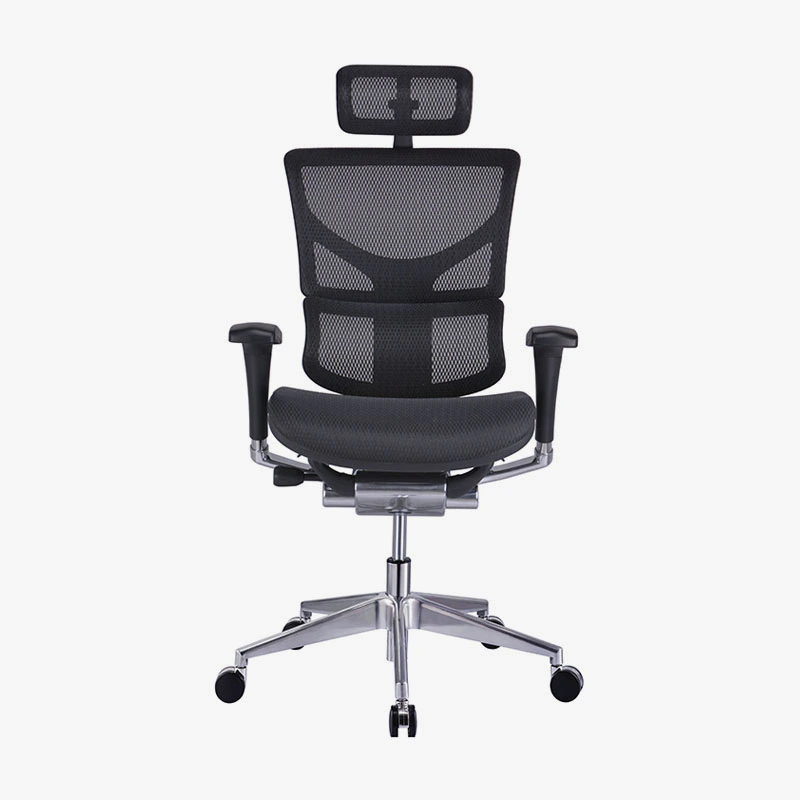 Best Executive Office Chair For Long Hours Ergonomic Chair With Lumbar Support  HSAM01