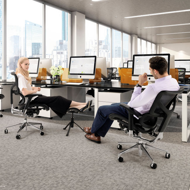 Hookay Luxury Ergonomic Chair With Dynamic Lumbar Support