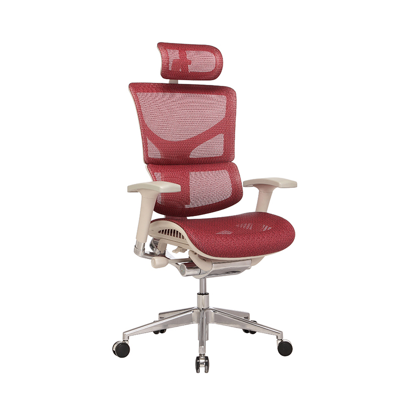 SAIL™ Basic Ergonomic Chair with Legrest