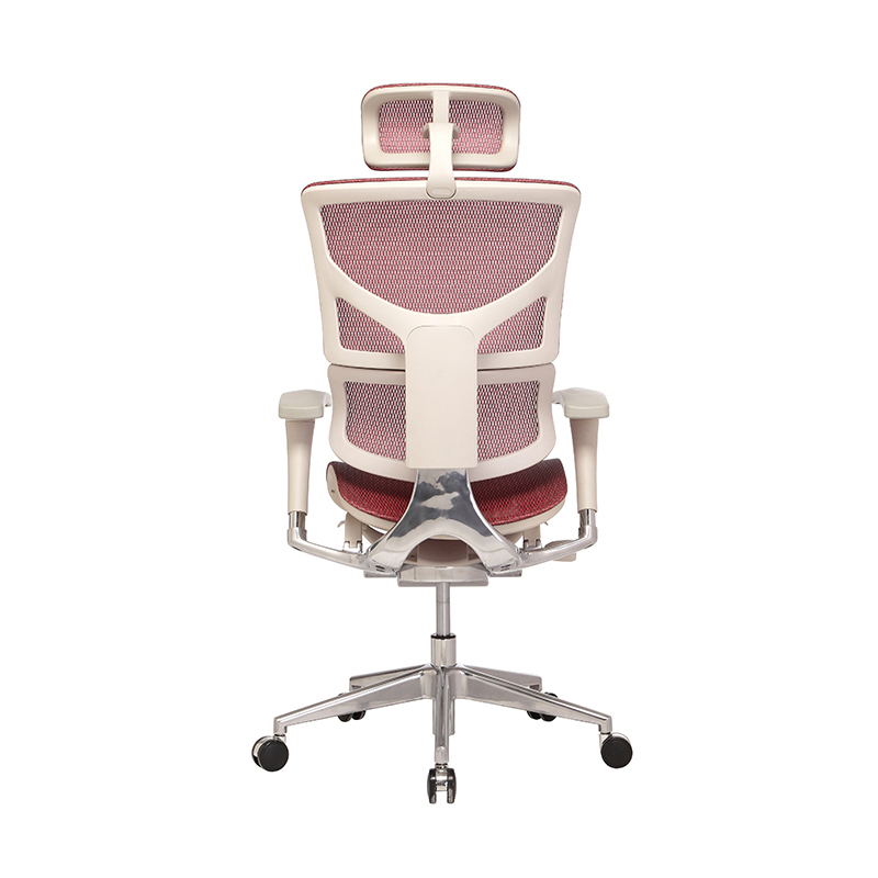 SAIL™ Basic Ergonomic Chair with Legrest