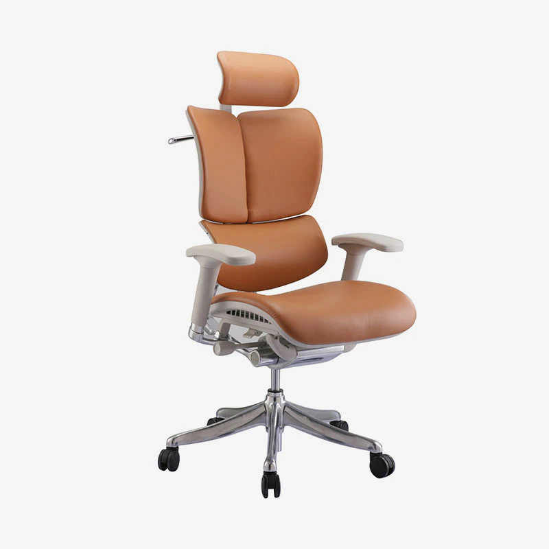 product-Fly unique design Luxury leather ergonomic executive chair with dynamic back HFYL01-Hookay -2