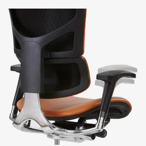 Ergonomic Office Chair With Lumbar Support Sail Leather Ergonomic ...