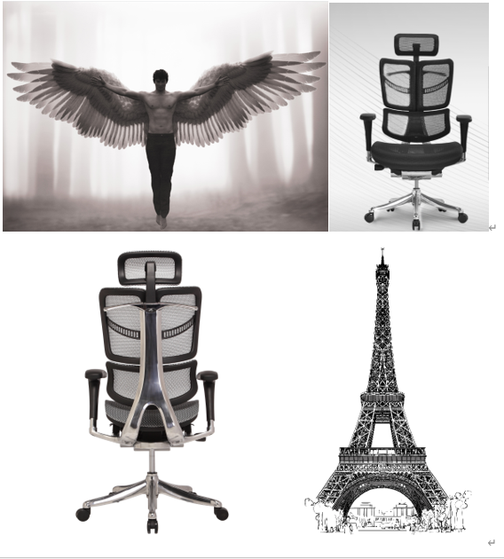 fly ergonomic chair