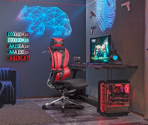 Gaming Chair vs Ergonomic chair: Which to Choose?