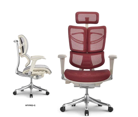 Cracking the Code: Why Do Ergonomic Desk Office Chairs Vary in Price?