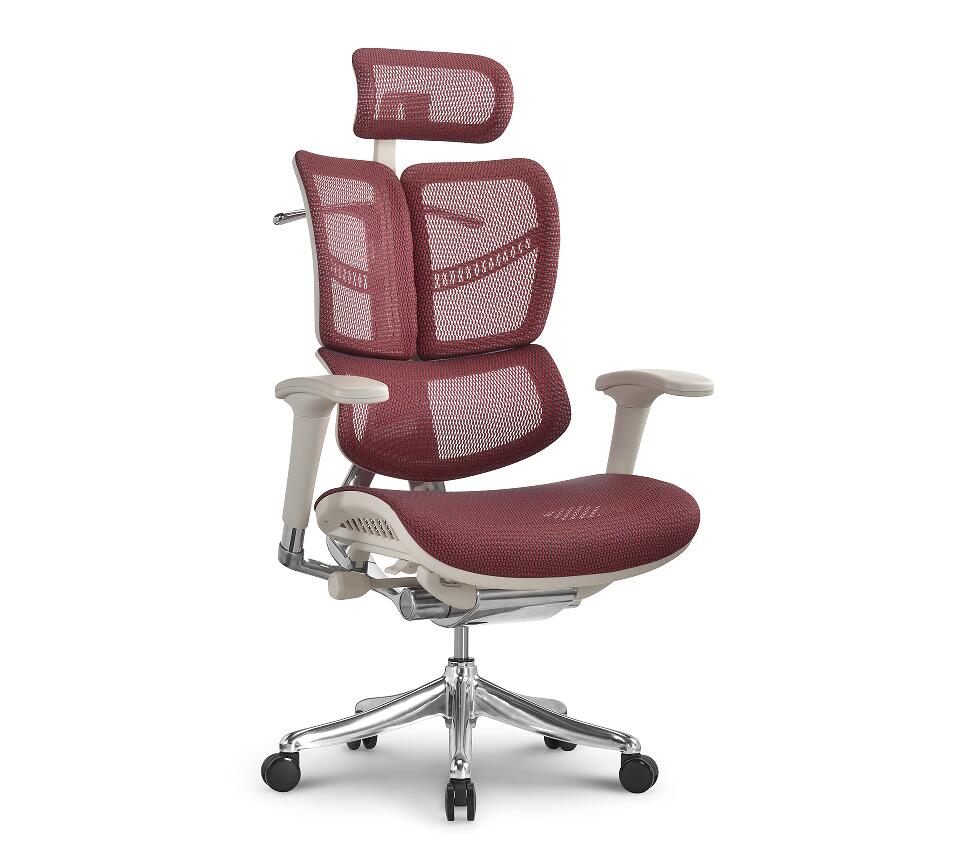 news-How Ergonomic executive Chairs Like Hookay Fly chair Can Transform Health-Hookay Chair-img