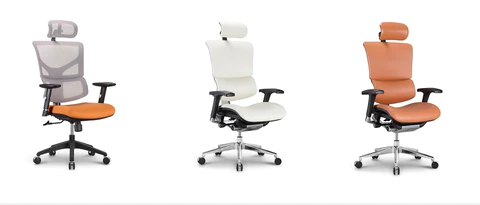 Unlocking Comfort: The Ultimate Guide to Executive Chairs with Back Support