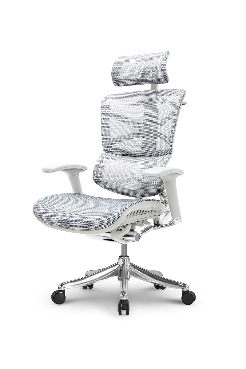 Sharp Ergonomic Excutive Chair with Grey Frame new coming