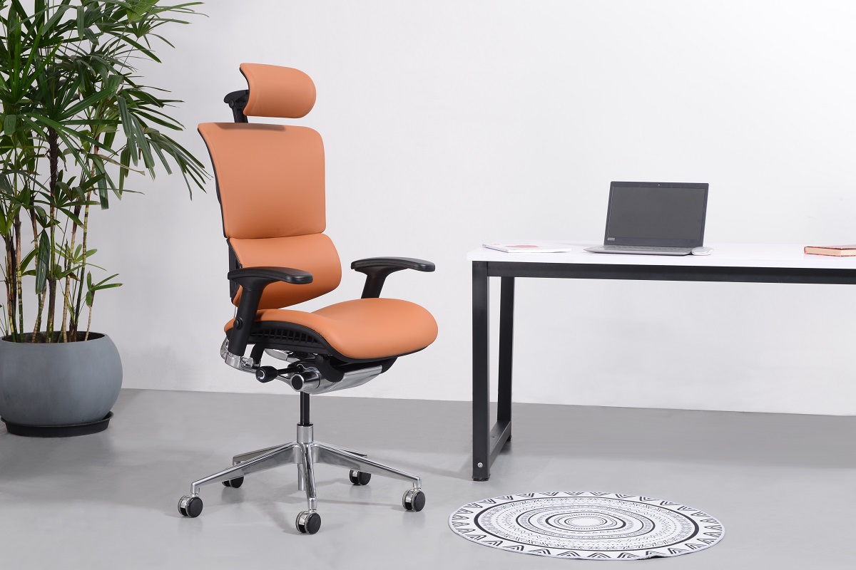 10 Essential Questions to Ask Before Choosing an Ergonomic Office Chair