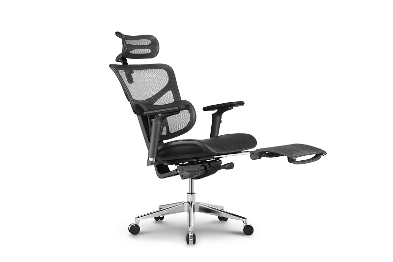 New model Advanced Ergonomic Chair with Forward Tilt Mechanism and Adjustable 3D Lumbar Support