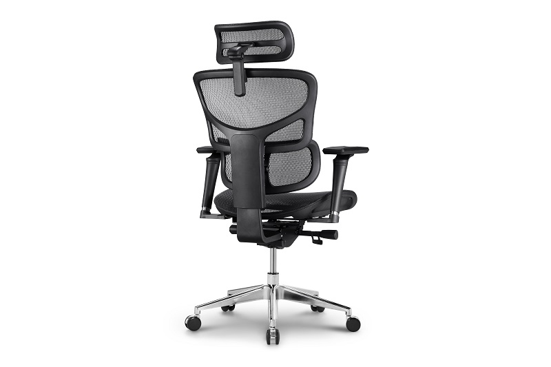 product-New model Advanced Ergonomic Chair with Forward Tilt Mechanism and Adjustable 3D Lumbar Supp-2
